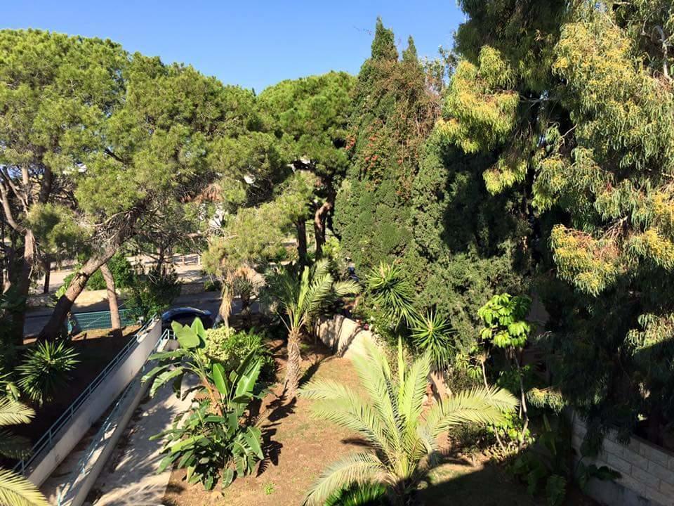 Carmel Mountain Motel حيفا المظهر الخارجي الصورة