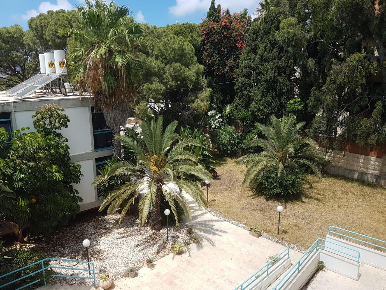 Carmel Mountain Motel حيفا المظهر الخارجي الصورة